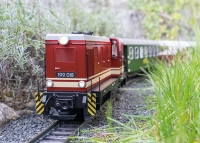 Spur G - Art.Nr. 26450 Diesellok 199 018 der SOEG Ep. VI