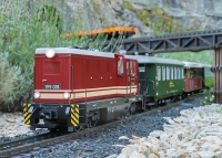 Spur G - Art.Nr. 26450 Diesellok 199 018 der SOEG Ep. VI