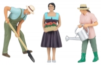 POLA G - 331536 - G�rtner