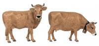 POLA - 331554 - Allguer Braunvieh