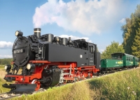 LGB Art. No. 21481 - SDG / Fichtelberg Railroad SDG Steam Locomotive