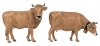 POLA - 331554 - Allgäu Brown cattle