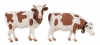 POLA - 331555 - Red coloured cows